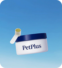 Pet Digestion Supplement